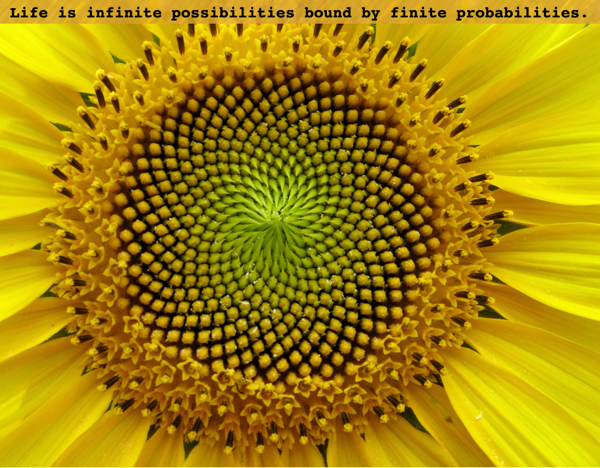 Life is infinite possibilities bound by finite probabilities
